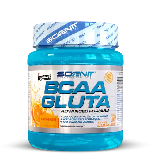 Scenit Bcaa + Glutamina 500 Gr - Imagen 4