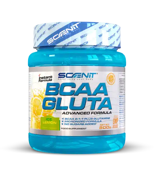 Scenit Bcaa + Glutamina 500 Gr