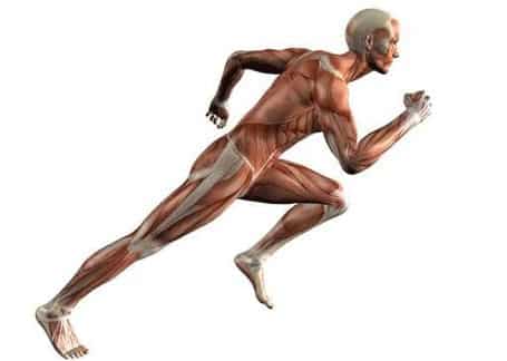 Nutrisport Pure Magnesio 400 Gr - Imagen 2
